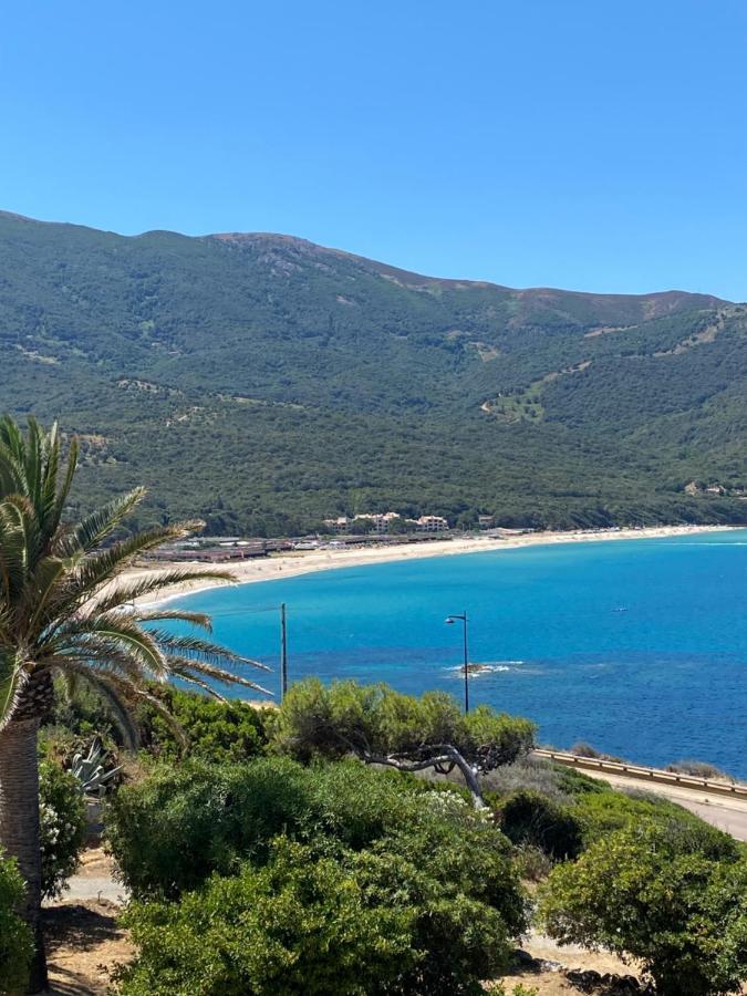 Villa Les Palmiers Calcatoggio  Bagian luar foto
